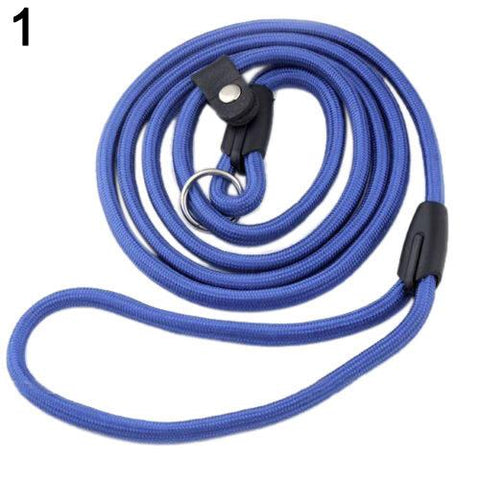 Pet Dog Nylon Rope Training Leash Slip Lead Strap Adjustable Traction Collar