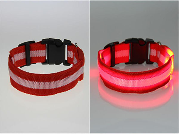 Glow LED Dog Pet Cat Flashing Light Up Nylon Collar Night Safety Collars