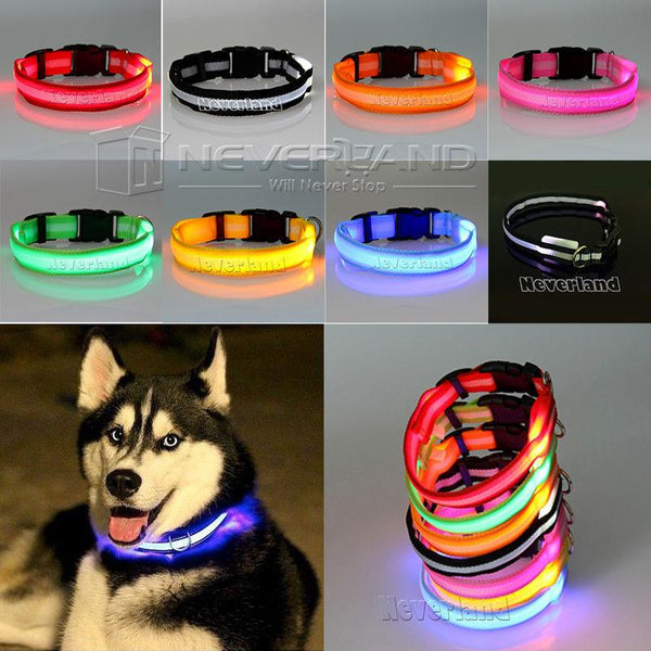 Glow LED Dog Pet Cat Flashing Light Up Nylon Collar Night Safety Collars