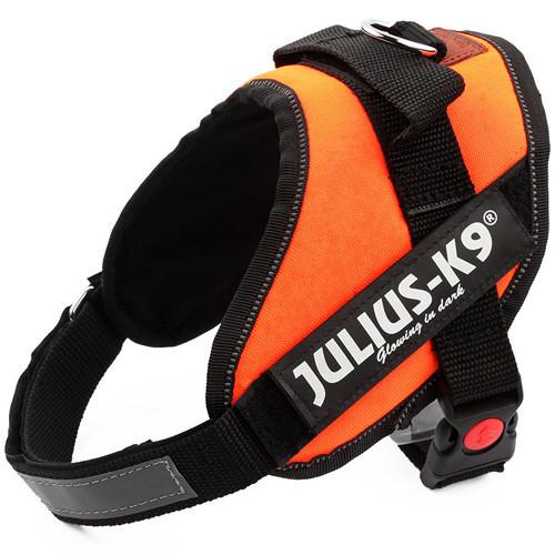 Sturdy and Durable K9 Nylon Pet Dog