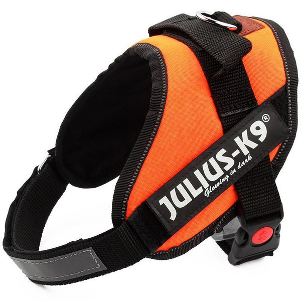 Sturdy and Durable K9 Nylon Pet Dog