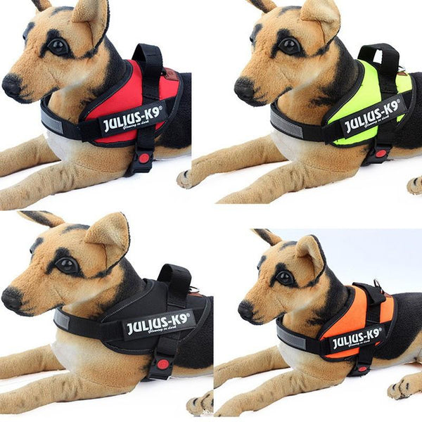 Sturdy and Durable K9 Nylon Pet Dog