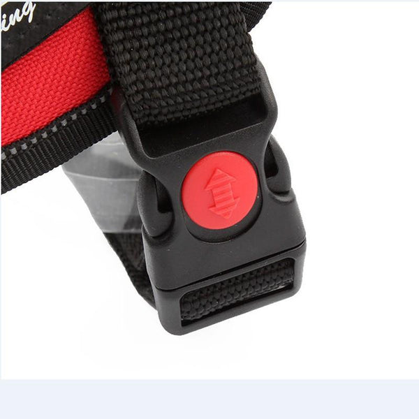 Sturdy and Durable K9 Nylon Pet Dog