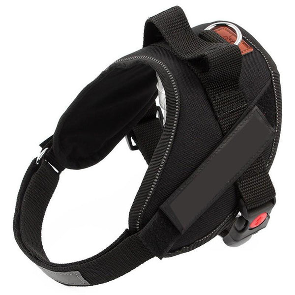 Sturdy and Durable K9 Nylon Pet Dog