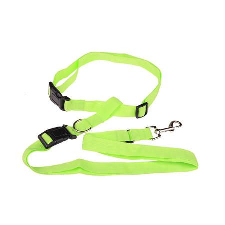 Handsfree Running Dog Leash